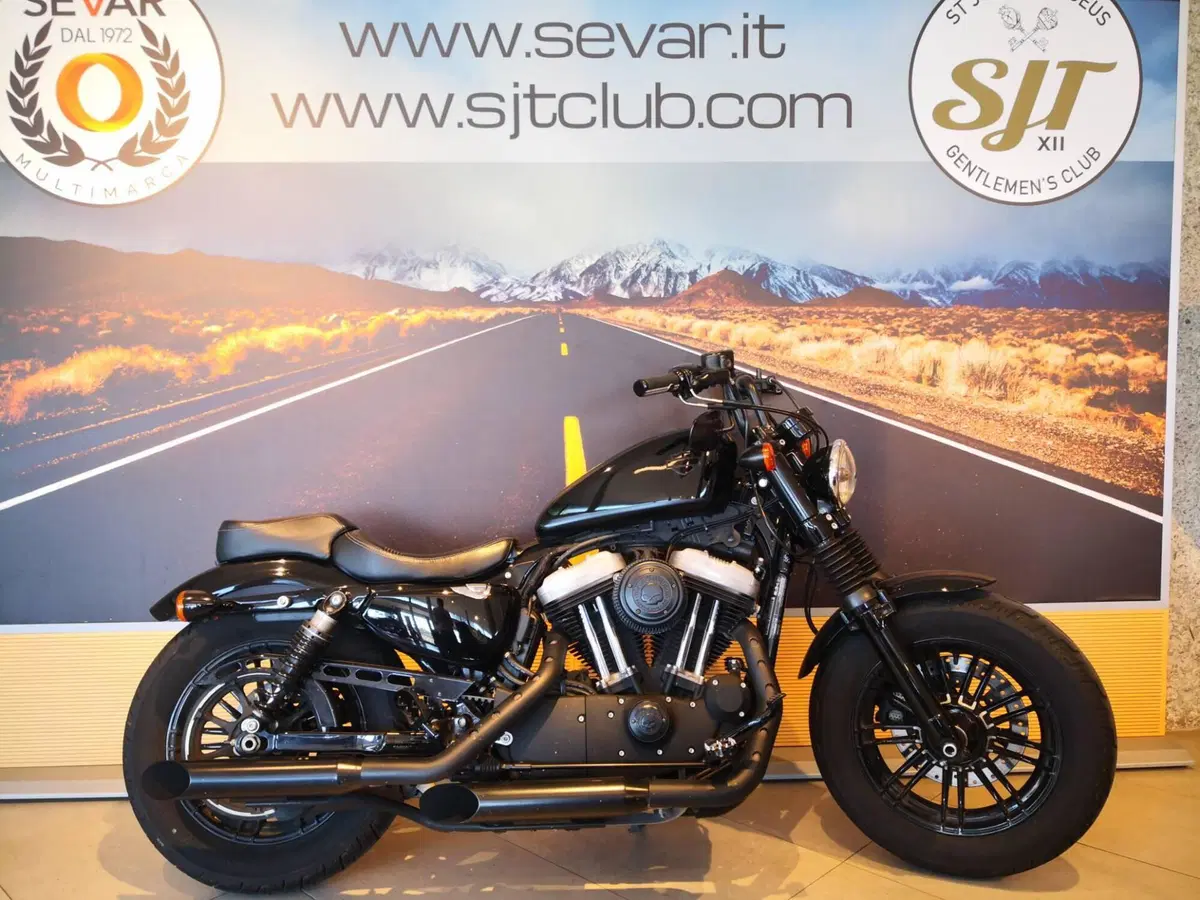 Harley-Davidson 1200 Forty-Eight (2016 - 20) (2)