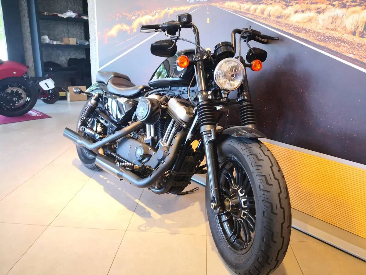 Harley-Davidson 1200 Forty-Eight (2016 - 20) (3)