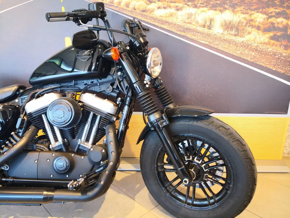 Harley-Davidson 1200 Forty-Eight (2016 - 20) (4)