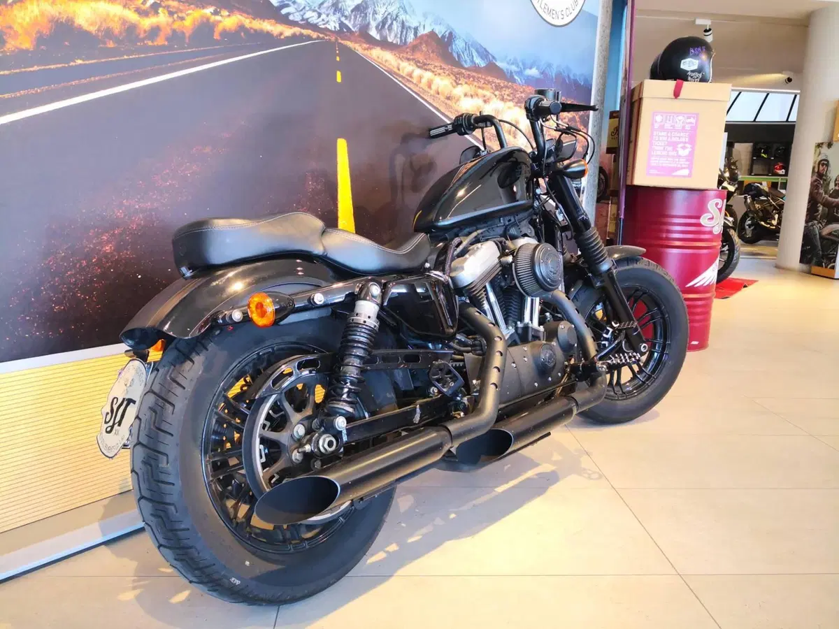 Harley-Davidson 1200 Forty-Eight (2016 - 20) (6)