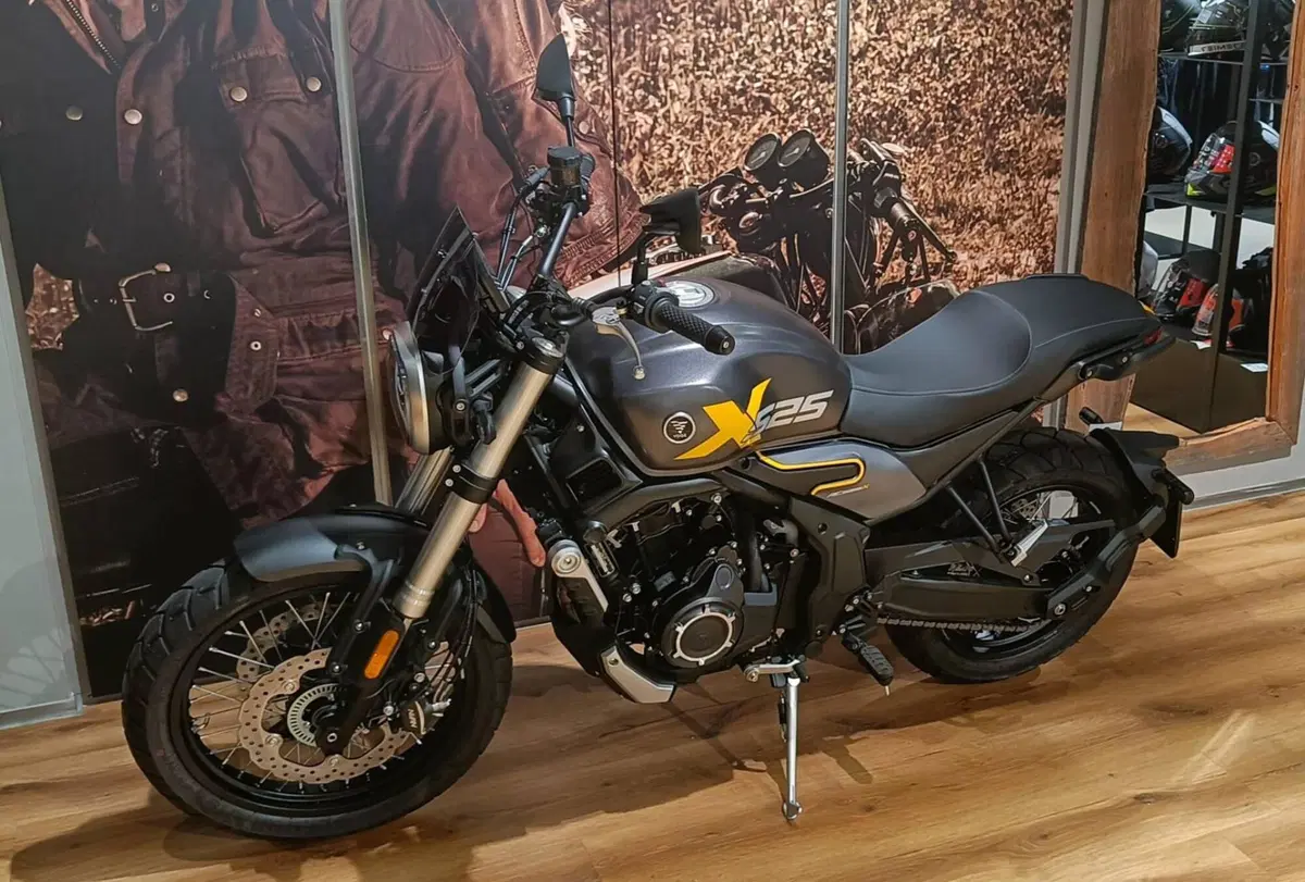 Voge Trofeo 525ACX Scrambler (2023 - 26) (3)