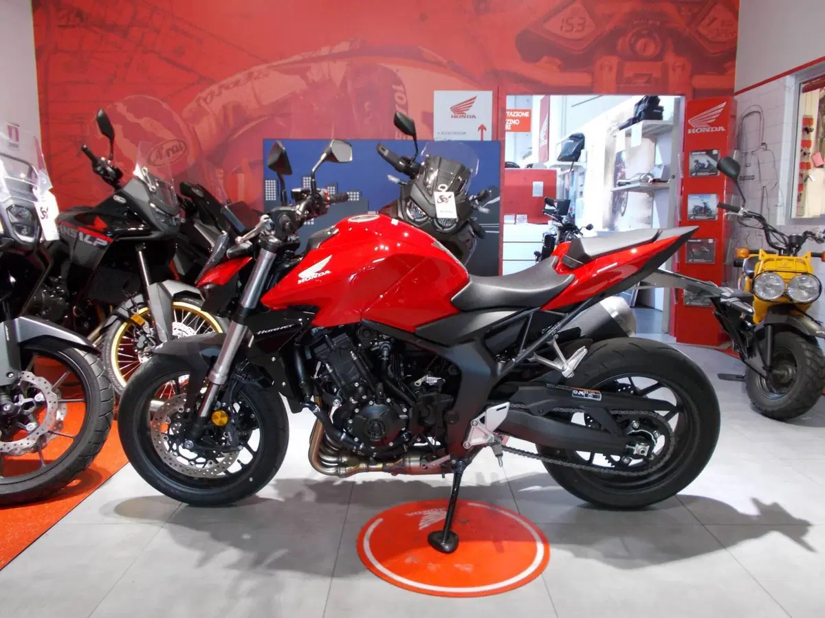 Honda CB 1000 Hornet (2025 - 26) (5)