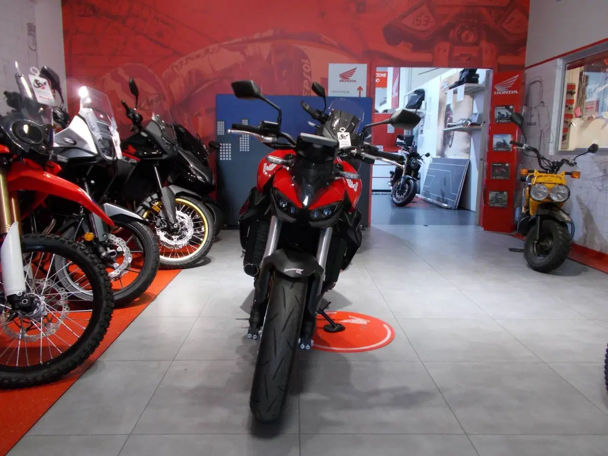 Honda CB 1000 Hornet (2025 - 26) (7)