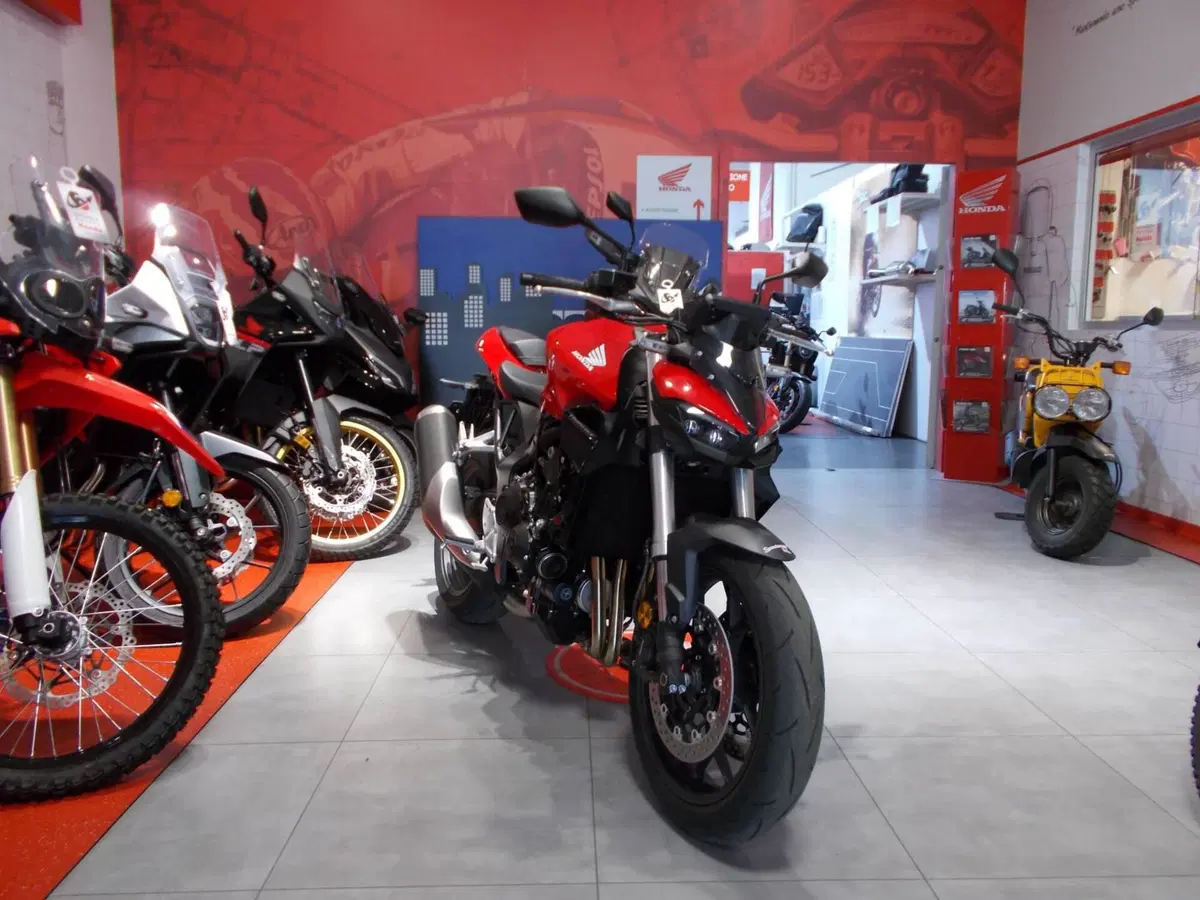 Honda CB 1000 Hornet (2025 - 26) (8)