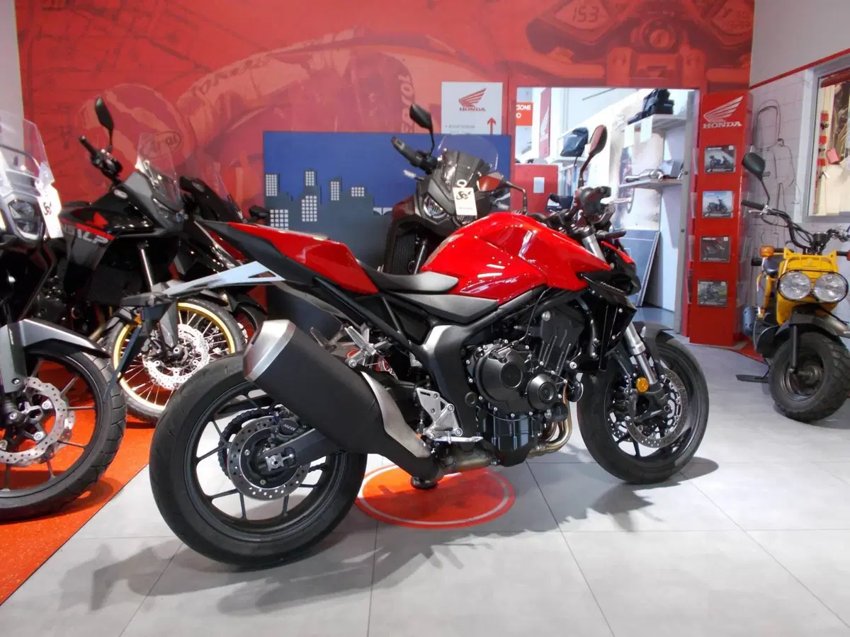 Honda CB 1000 Hornet (2025 - 26) (12)