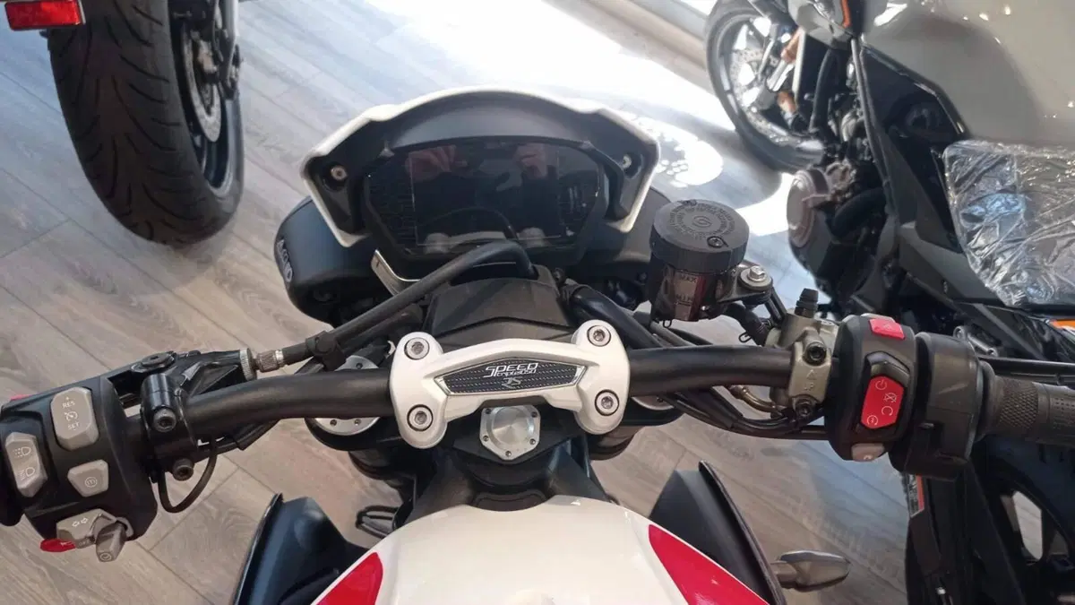 Triumph Speed Triple 1050 RS (2018 - 20) (6)