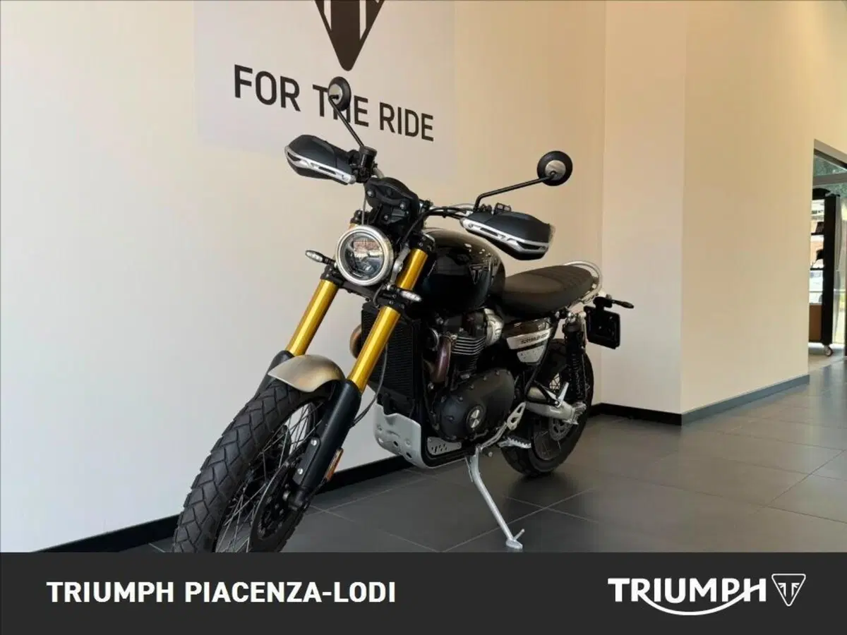 Triumph Scrambler 1200 XE (2024 - 25) (2)
