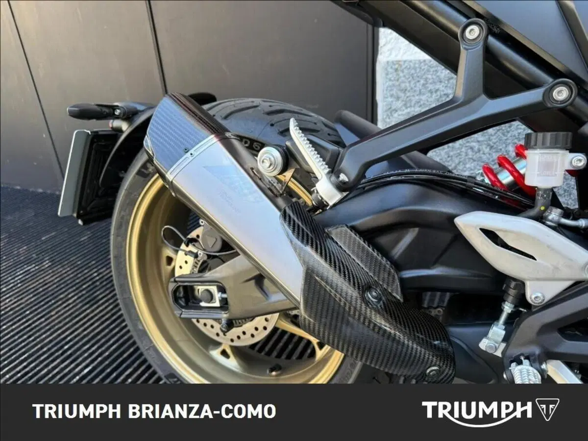 Triumph Trident 800 (2026) (5)