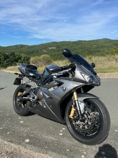 Triumph Daytona 675 (2006 - 08) usata