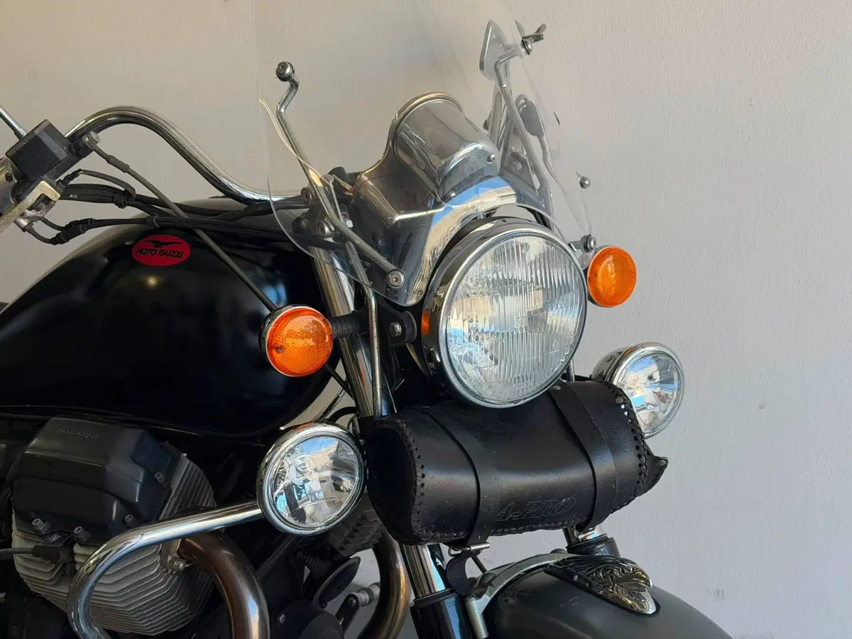 Moto Guzzi California Stone (2001 - 06) (5)