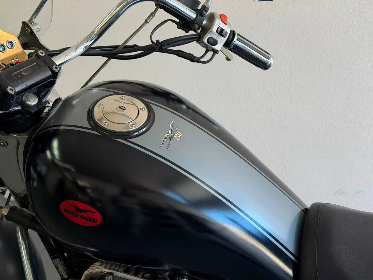 Moto Guzzi California Stone (2001 - 06) (10)
