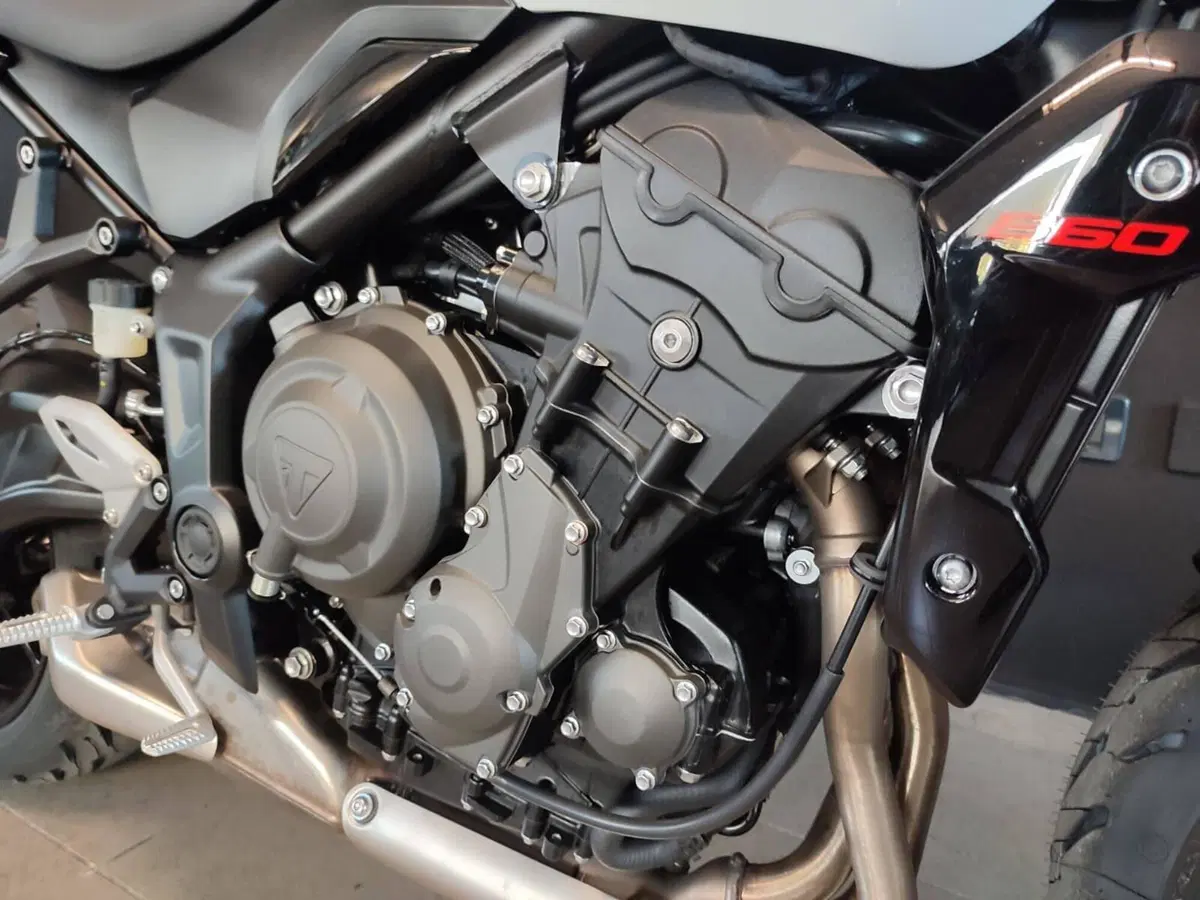Triumph Trident 660 (2026) (3)