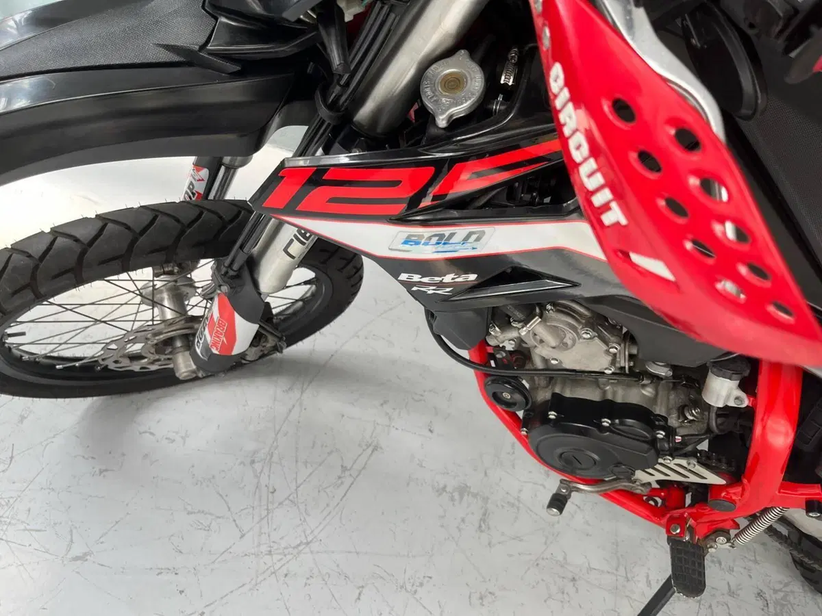 Betamotor RR 125 4T Enduro LC (2018 - 20) (8)
