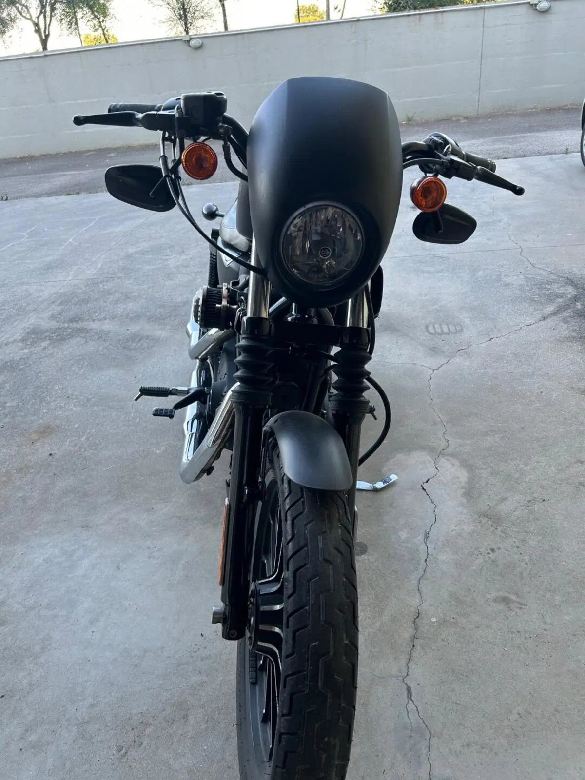 Harley-Davidson 883 Iron (2012 - 14) - XL 883N (5)