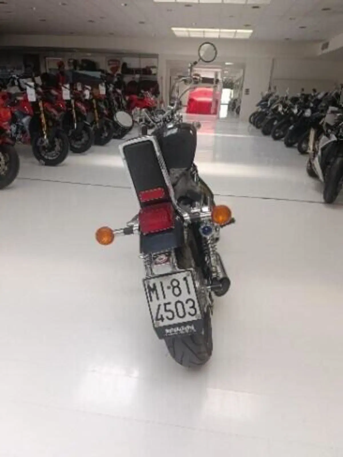 Suzuki VS 800 GL (1992 - 98) (2)