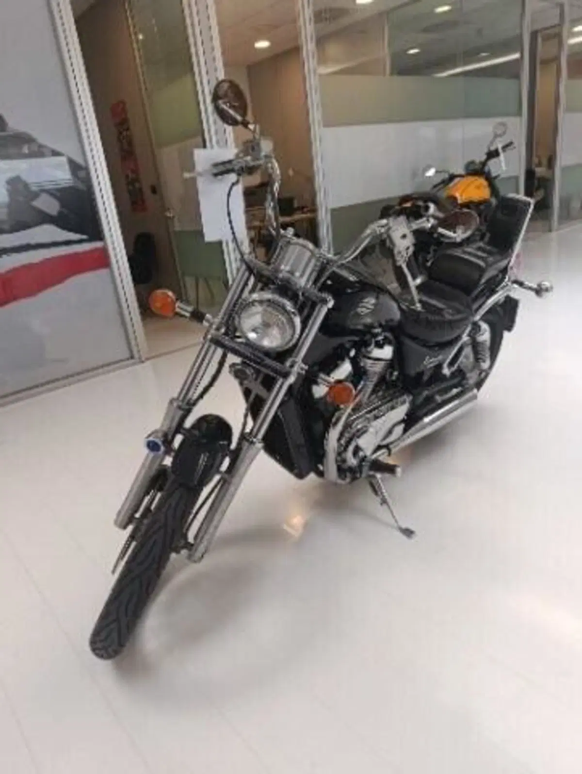 Suzuki VS 800 GL (1992 - 98) (4)