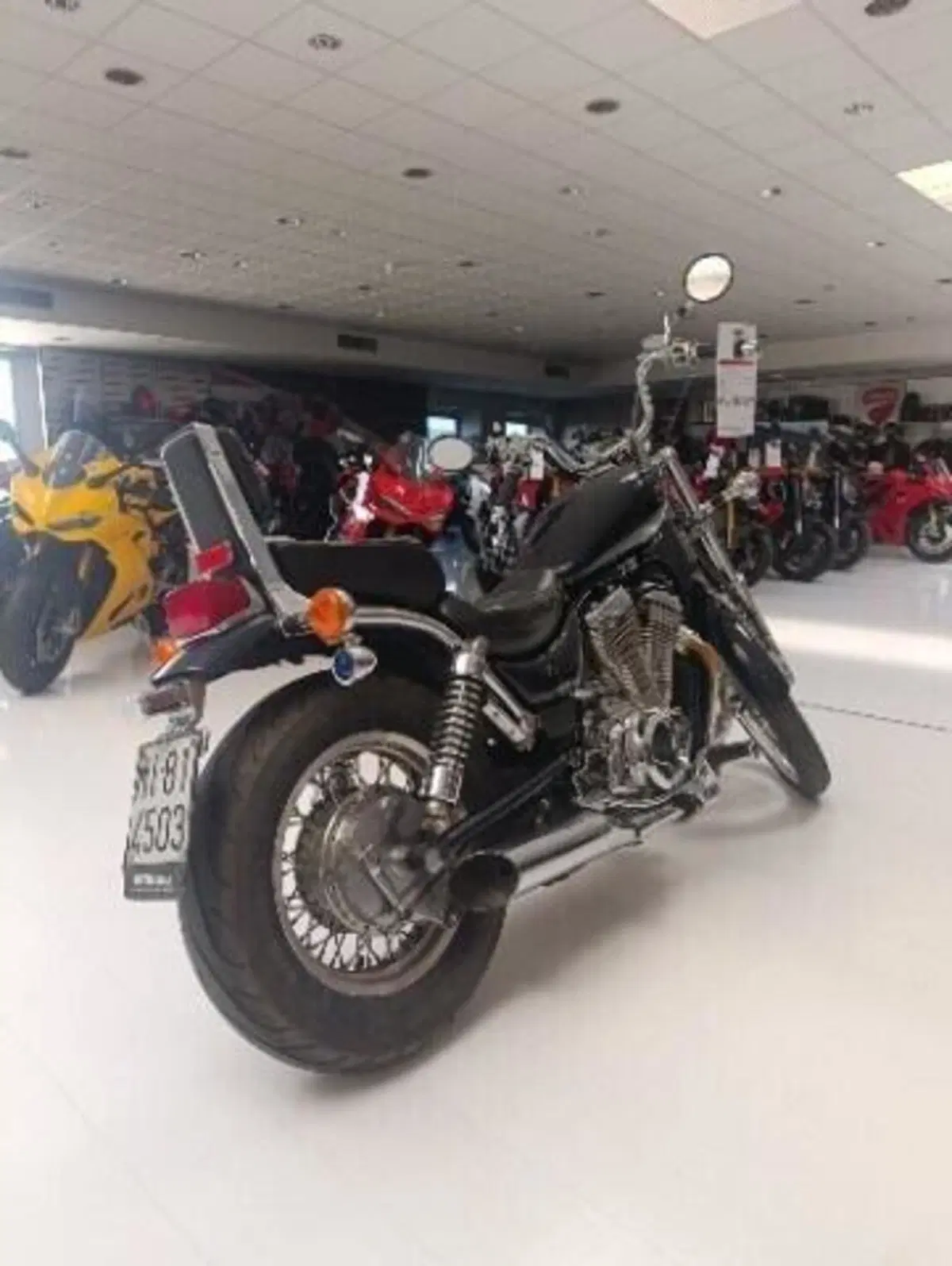 Suzuki VS 800 GL (1992 - 98) (5)