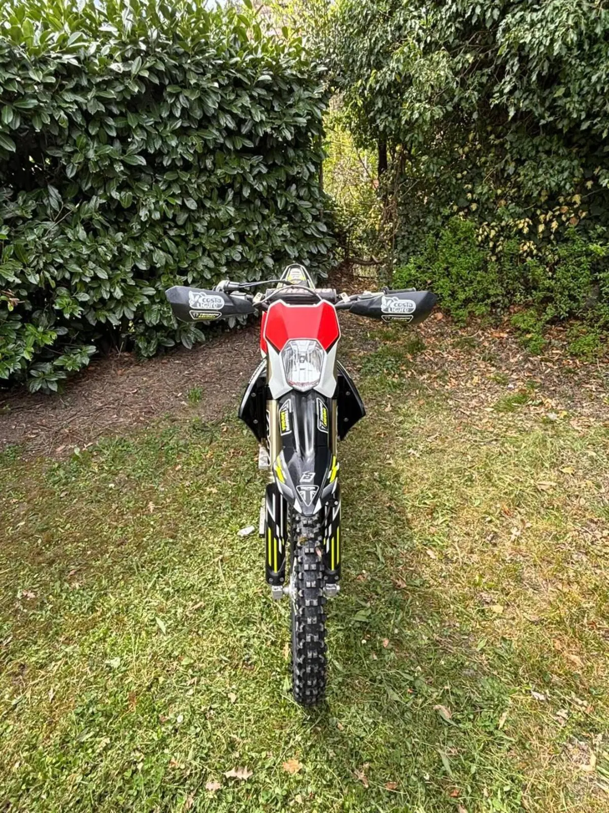Triumph TF 250-E (2026) (2)