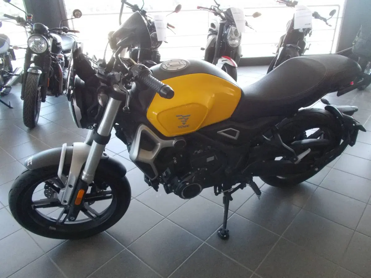 Voge Trofeo 350AC (2022 - 26) (4)