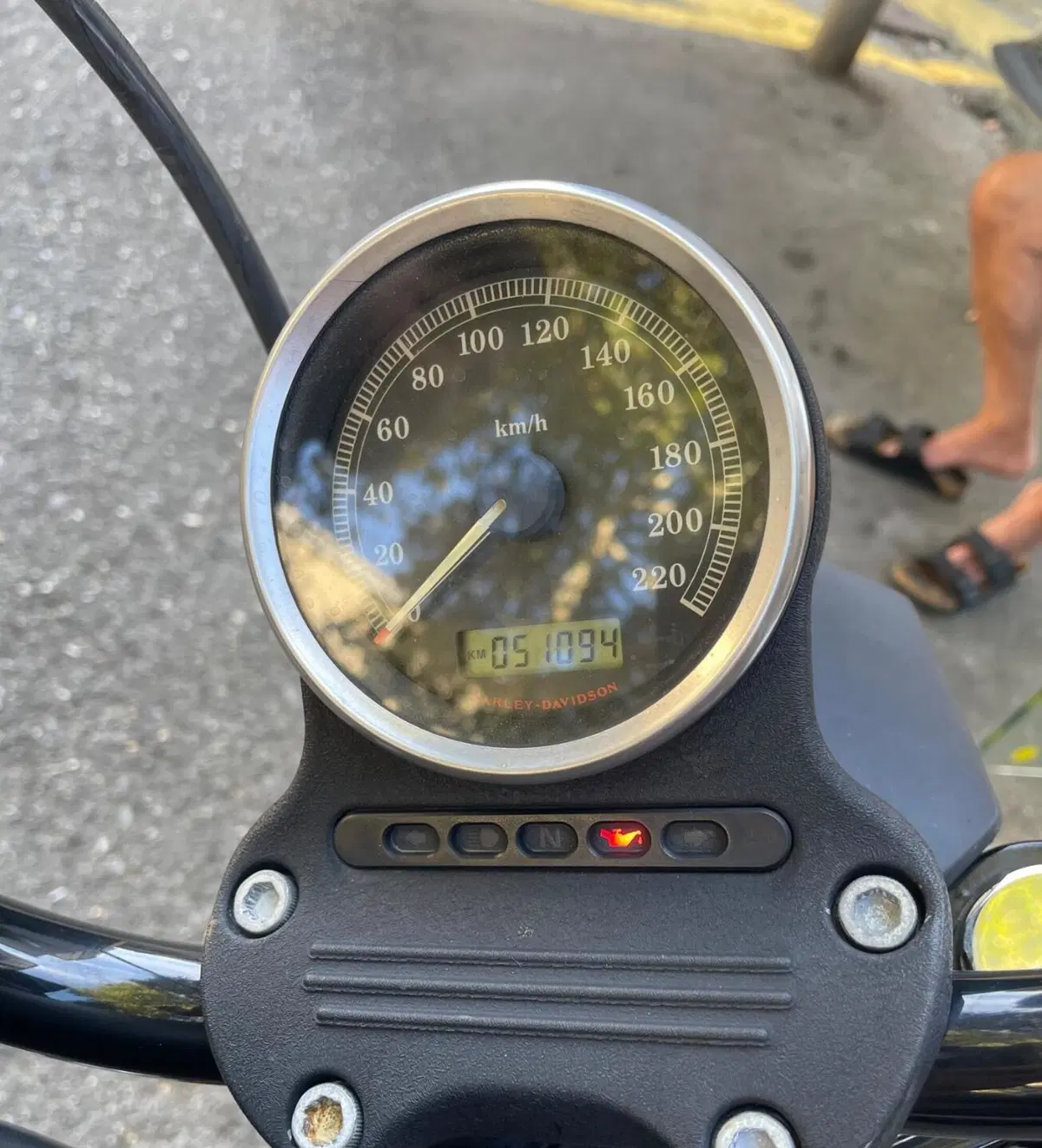 Harley-Davidson 883 Iron (2012 - 14) - XL 883N (3)
