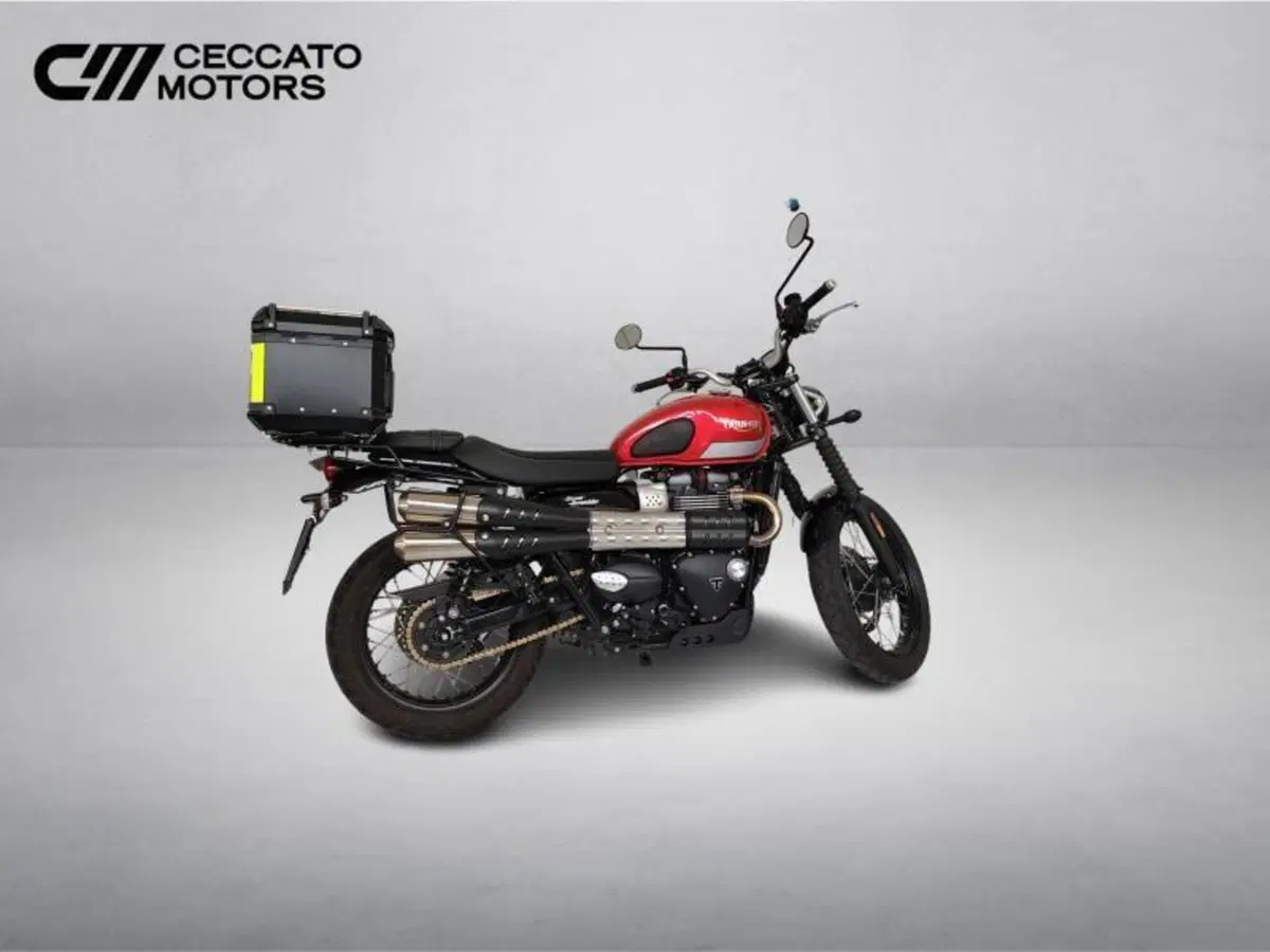 Triumph Street Scrambler 900 (2017 - 18) (4)
