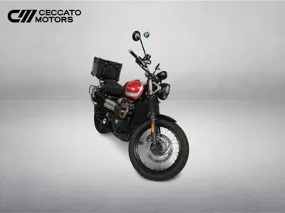Triumph Street Scrambler 900 (2017 - 18) usata