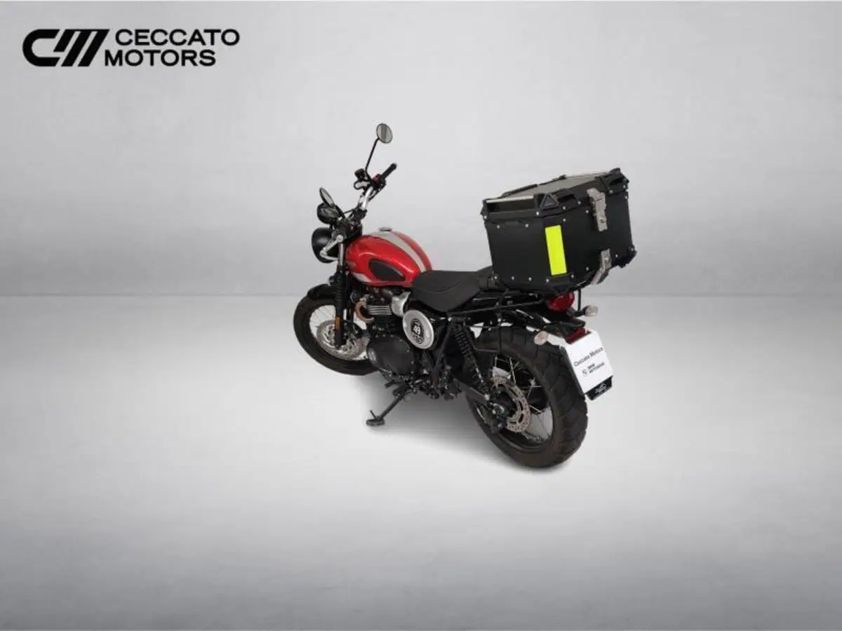 Triumph Street Scrambler 900 (2017 - 18) (7)