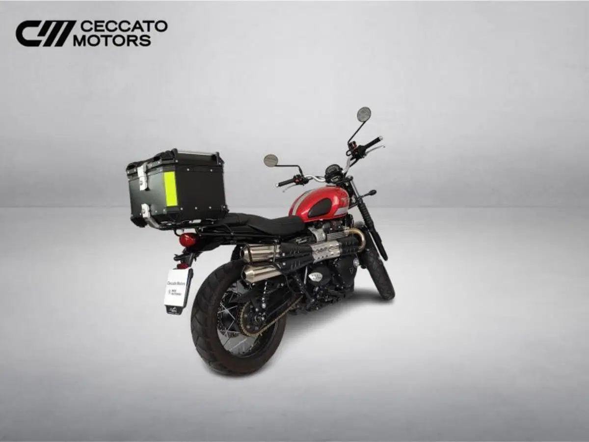 Triumph Street Scrambler 900 (2017 - 18) (5)