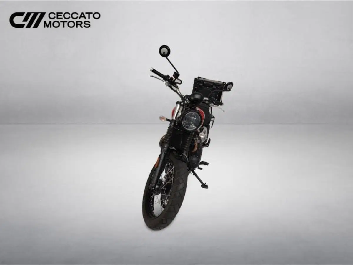 Triumph Street Scrambler 900 (2017 - 18) (10)