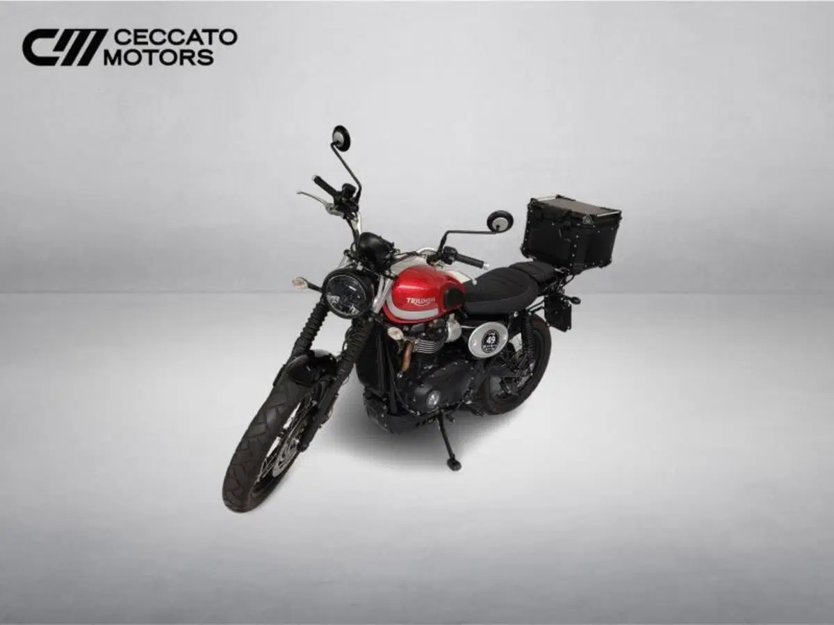 Triumph Street Scrambler 900 (2017 - 18) (9)
