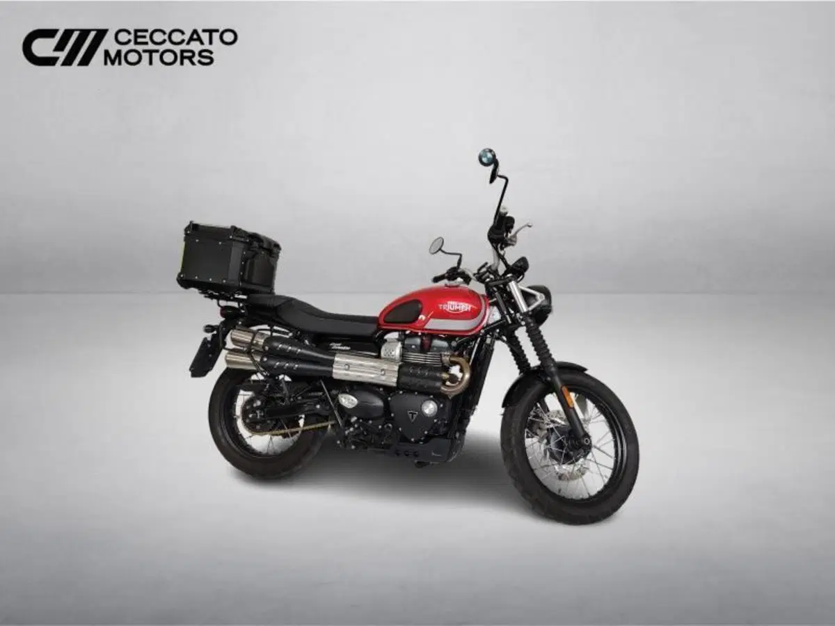 Triumph Street Scrambler 900 (2017 - 18) (3)