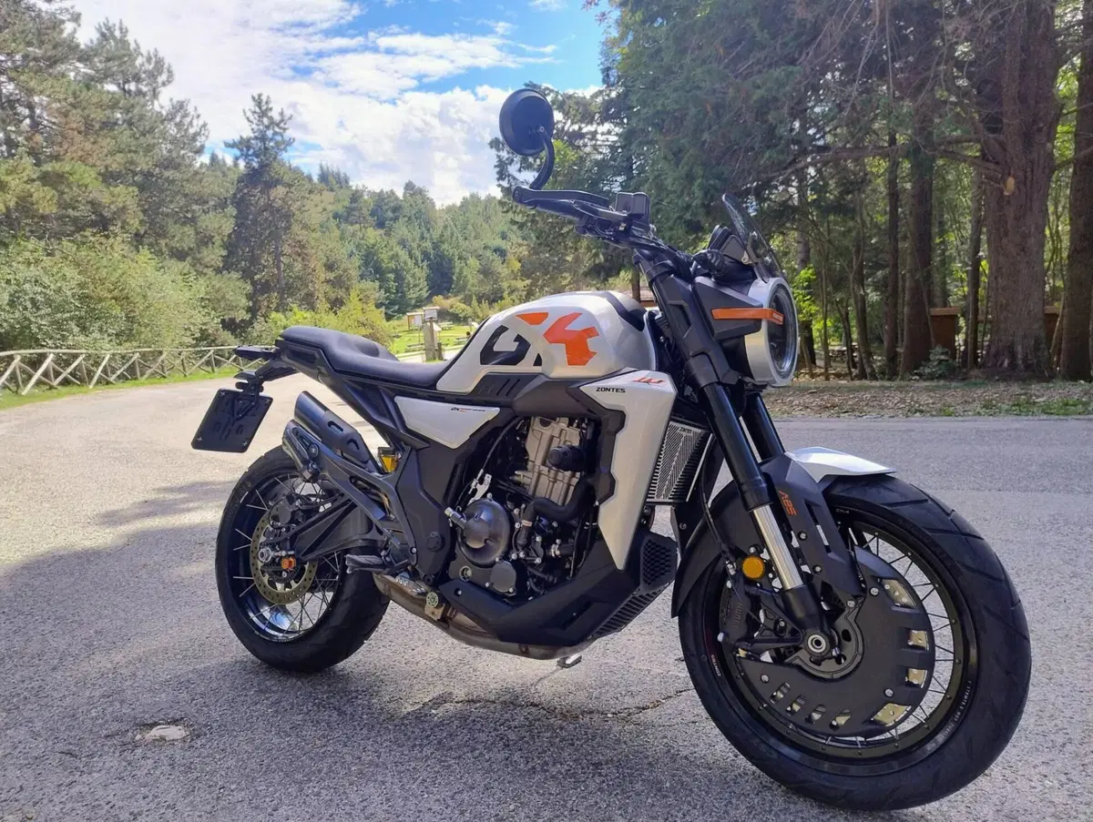 Zontes ZT350-GK (2022 - 26) (6)