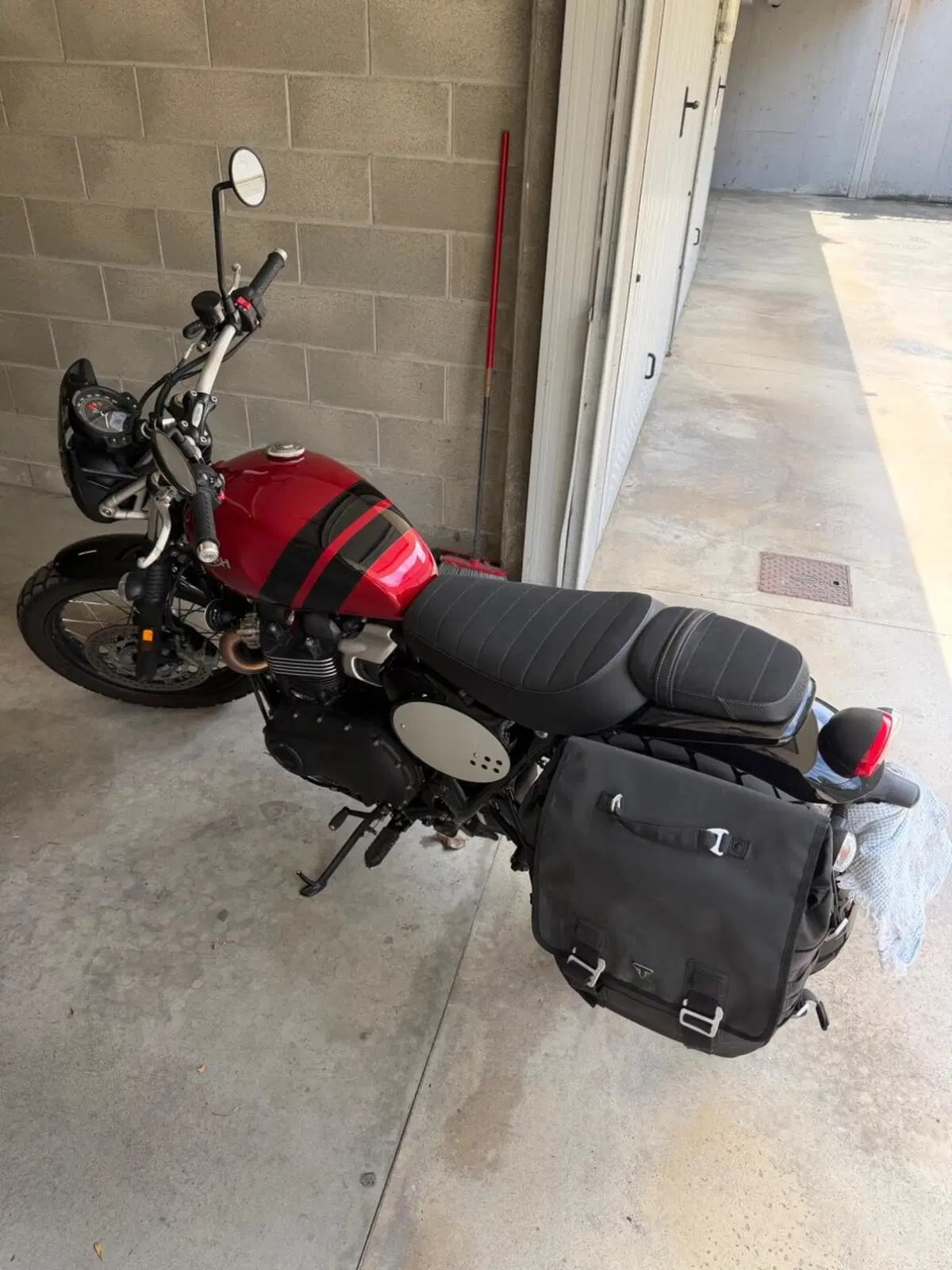Triumph Scrambler 900 (2023 - 25) (4)