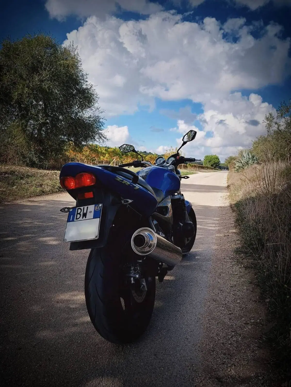 Kawasaki ZR7 (4)