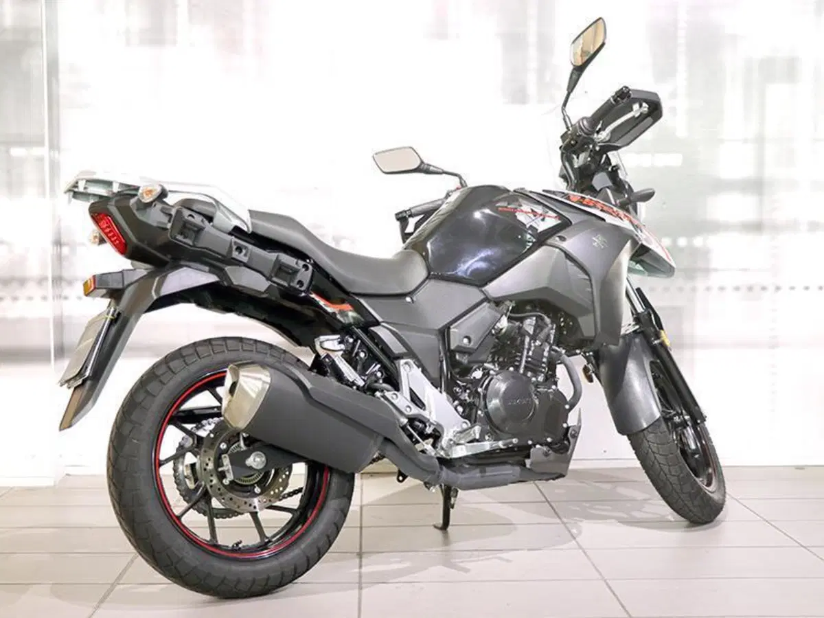 Suzuki V-Strom 250 (2017 - 20) (4)