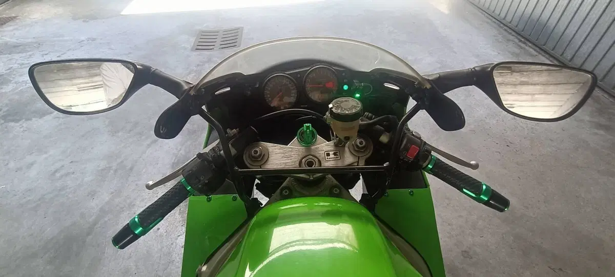 Kawasaki Ninja 900 ZX-9R (1998 - 01) (5)