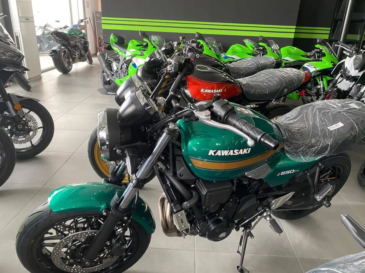 Kawasaki Z 650 RS (2025 - 26) (5)