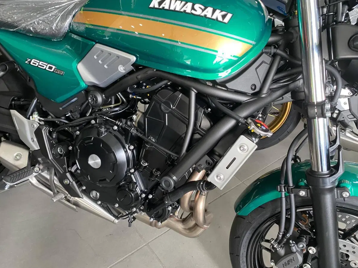 Kawasaki Z 650 RS (2025 - 26) (6)
