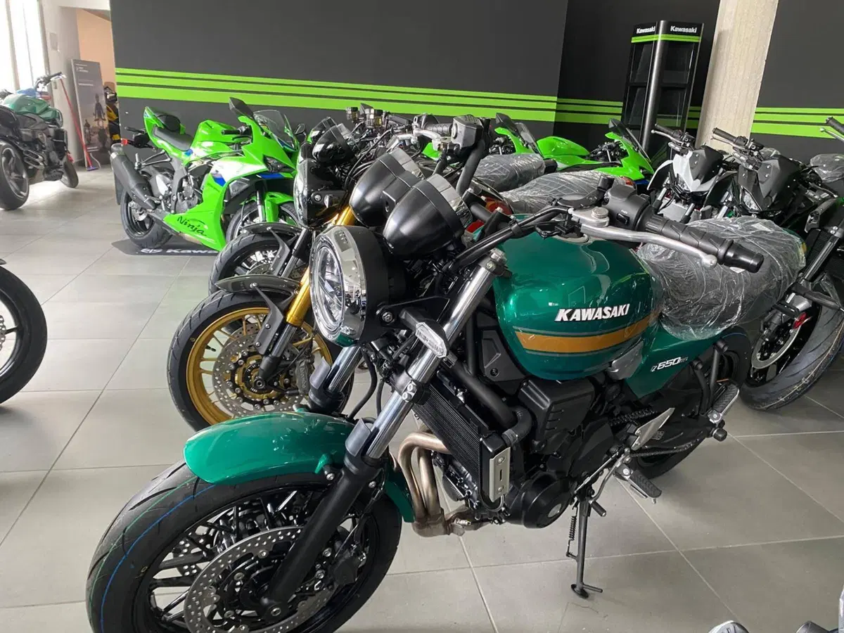 Kawasaki Z 650 RS (2025 - 26) (4)