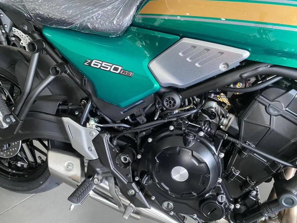 Kawasaki Z 650 RS (2025 - 26) (7)