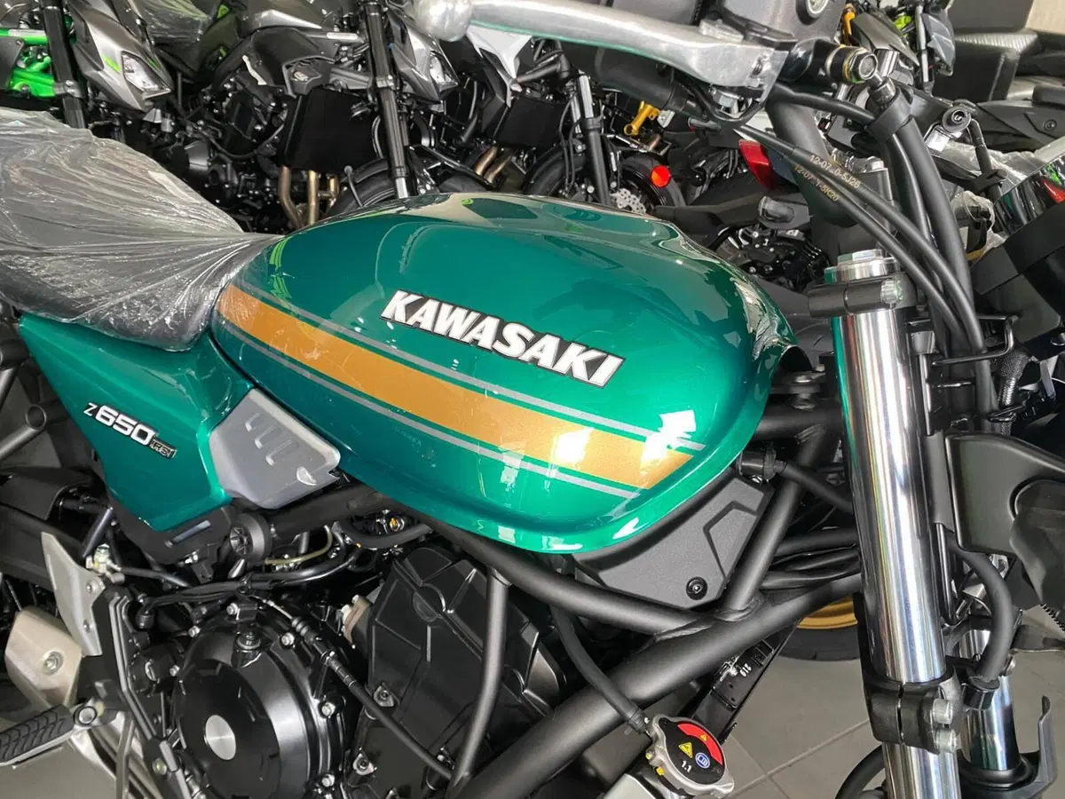 Kawasaki Z 650 RS (2025 - 26) (8)