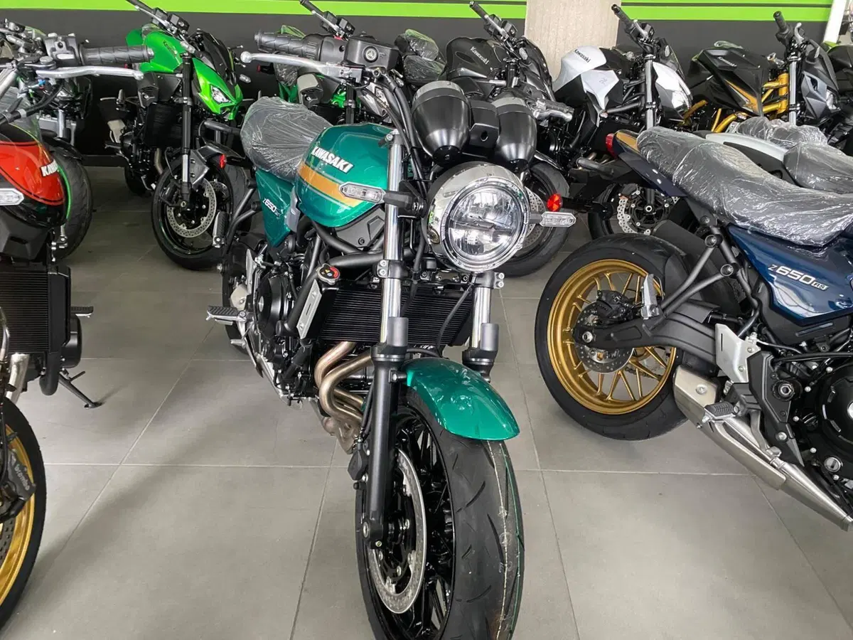 Kawasaki Z 650 RS (2025 - 26) (2)