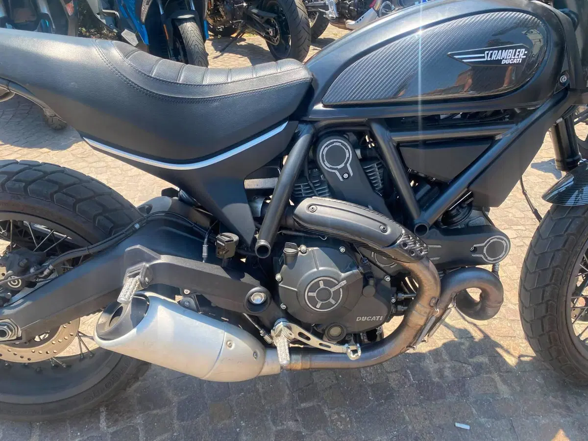 Ducati Scrambler 800 Icon (2015 - 16) (6)