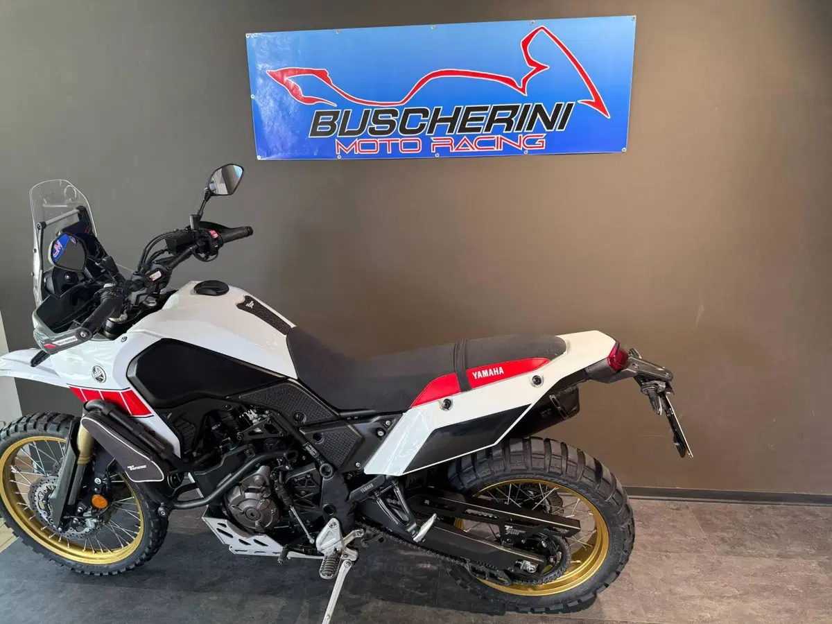 Yamaha Ténéré 700 Rally Edition (2022 - 24) (10)