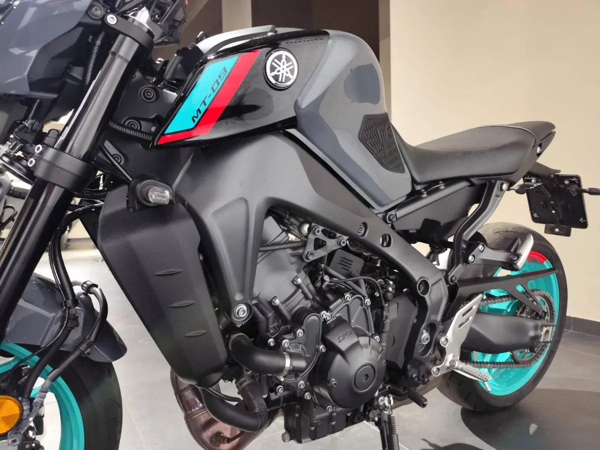 Yamaha MT-09 (2021 - 23) (5)