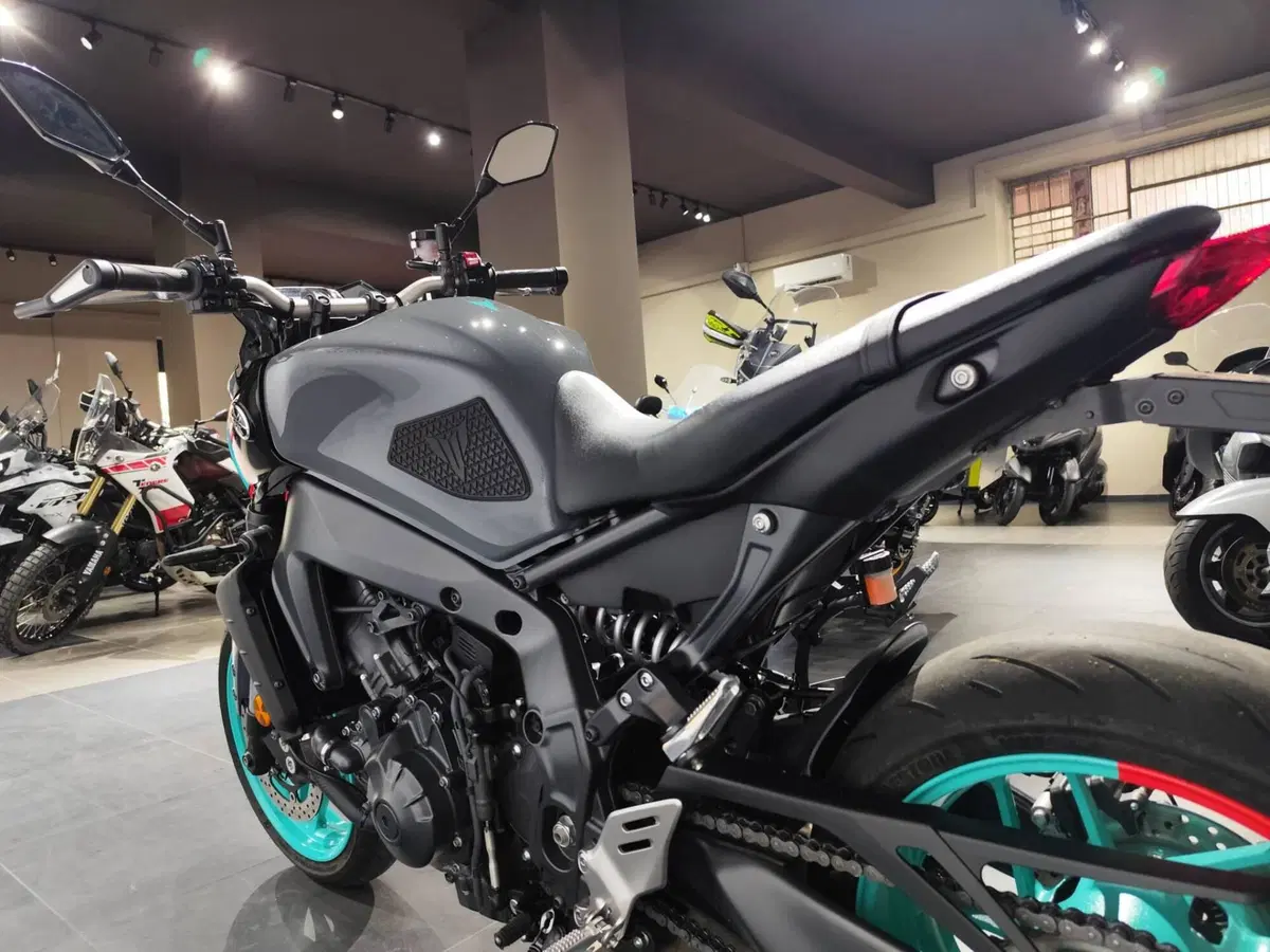 Yamaha MT-09 (2021 - 23) (6)