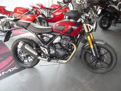 Triumph Scrambler 400 X (2024 - 26) usata