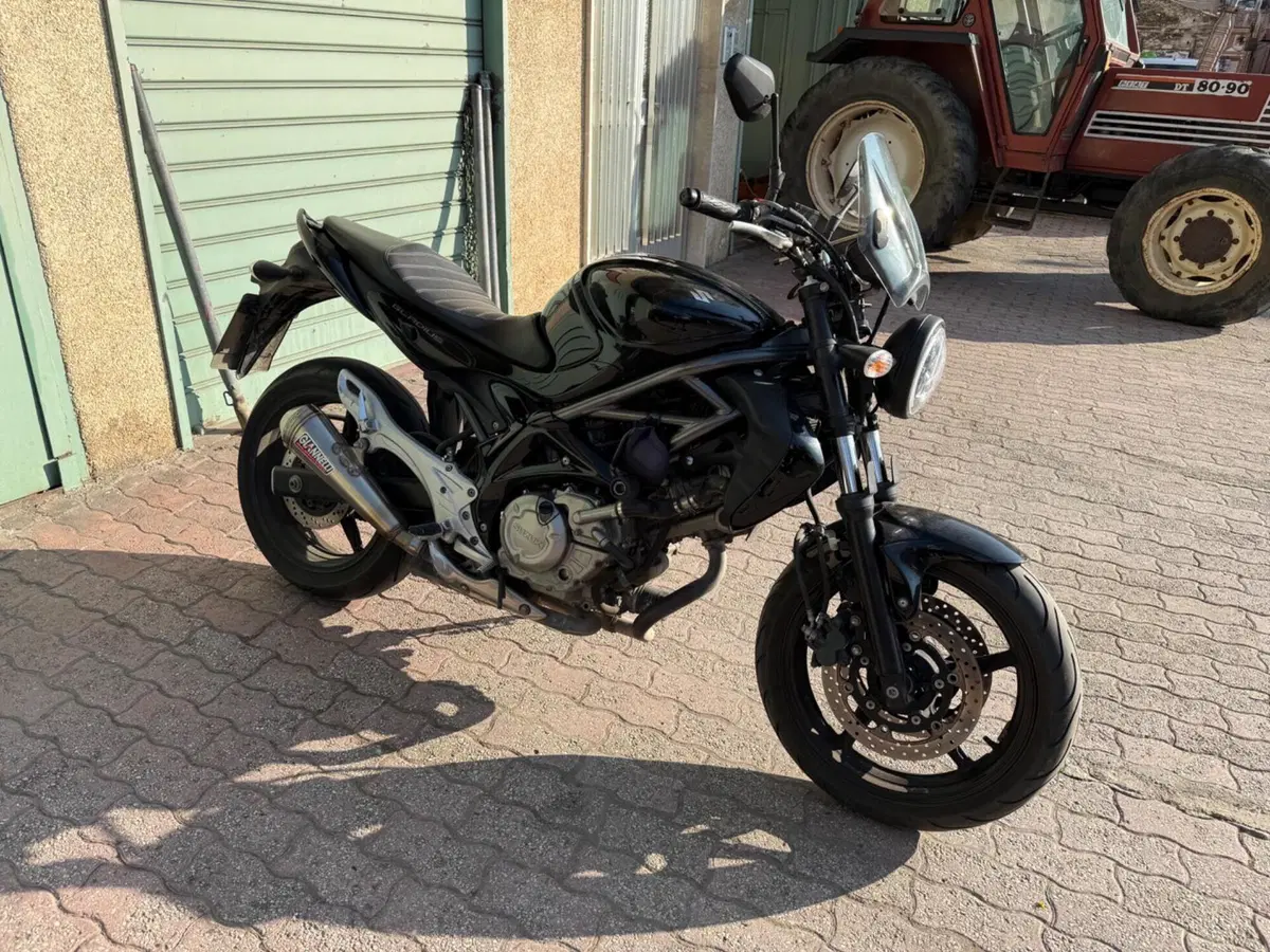 Suzuki Gladius 650 SFV (2009 - 15)