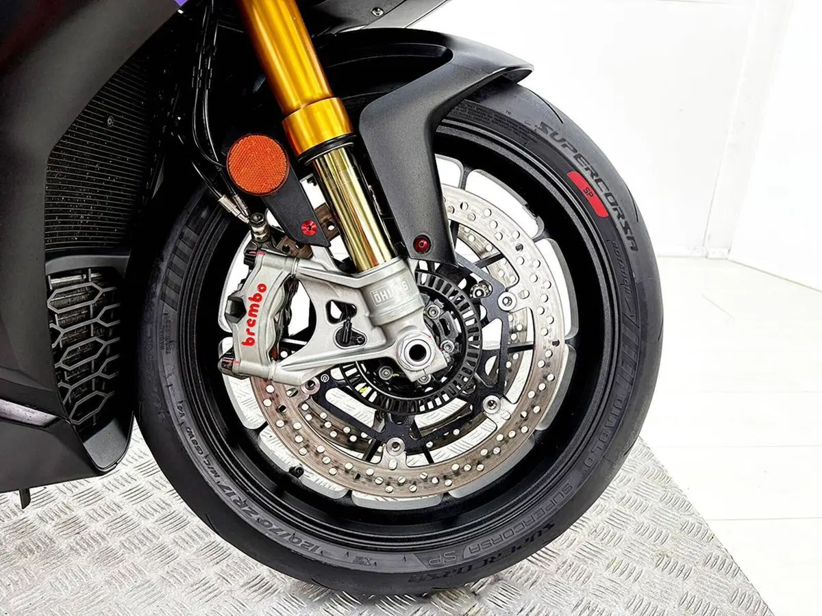 Aprilia RSV4 1100 Factory (2021 - 24) (11)