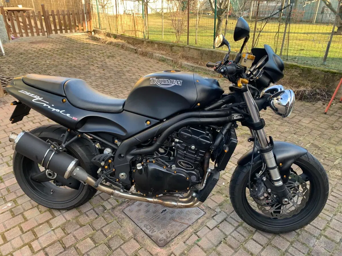 Triumph Speed Triple 955 (1998 - 01) (3)